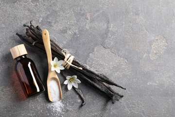 Spoon with sugar, flowers, vanilla pods and bottle of essential oil on grey textured table, flat...