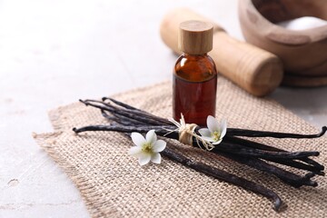 Vanilla pods, essential oil, flowers and sugar in bowl on light gray table