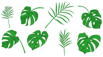 Collection of tropical leaves isolated on white background. Hand drawn  illustration set.