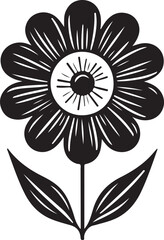 black and white flower