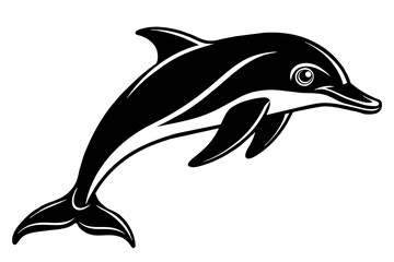   Dolphin vector silhouette