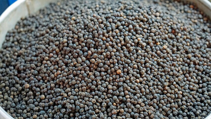 dried peppers from famous kampot pepper, one of the best peppers world wide