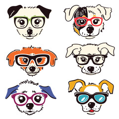 Fototapeta premium Six stylized dog faces wearing different glasses. Cartoon dogs portrayed unique eyewear, colors vary, expressing playful charm. Hipster dogs illustrated fashionable glasses, sketched lines