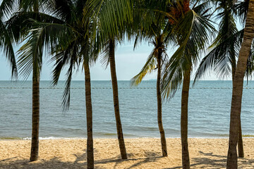 Serene tropical beach framed by palm trees, offering picturesque view of calm ocean. Ideal for travel and vacations, this tranquil setting embodies relaxation and escape