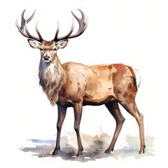 Christmas deer. Red deer in winter clipart. Watercolor illustration. Generative AI. Detailed illustration.