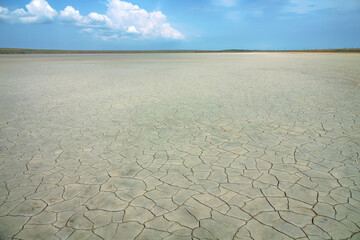 Geography. Dried-up lake basin (dry lakebed), alkali flat. Semi - desert salt-marsh. The shore of the minor depression (drainless lowering of the relief of suffusion) is overgrown with halophytes