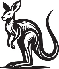 kangaroo illustration