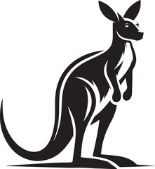 kangaroo illustration