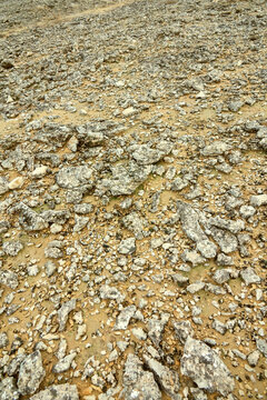 A rocky desert, sedimentation rock destruction on clay soils with rare xerophytic shrubs after a rare spring rain. Qeshm Island, Iran