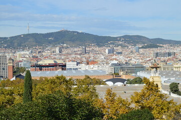 Top view of the city of Barcelona - panoramic photo and Montjuïc mountain, architecture and urban planning of Catalonia, spanish nature and mountains, city buildings and historical monuments