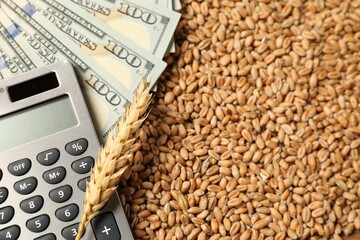 Dollar banknotes, calculator and wheat ear on grains, closeup. Agricultural business
