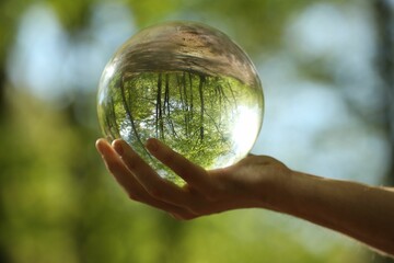 Green trees outdoors, overturned reflection. Man holding crystal ball in forest, closeup