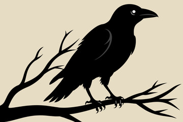Crow setting on a branch  vector silhouette  © Chayon Sarker