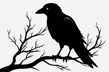 Crow setting on a branch  vector silhouette 