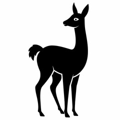 Vicuna vector silhouette 