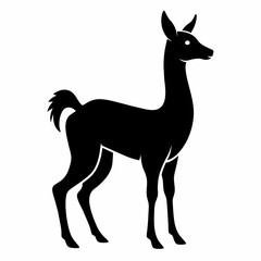 Vicuna vector silhouette 