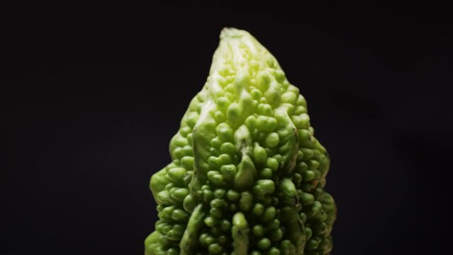 A bitter gourd rotating on black background close-up, a vegetable often used as an ingredient in cuisine, is placed on a wooden table. This terrestrial plant is commonly found