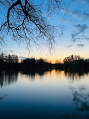 Pond in the park, evening time, trees reflection on the water surface