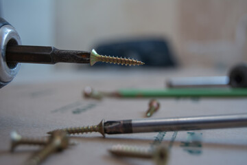 Naklejka premium screwdriver and screws