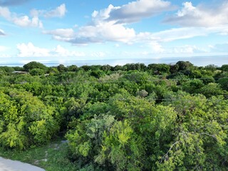 Obraz premium Lush greenery surrounding the the Bluff, Cayman Brac sister island of Grand Cayman, Cayman Islands