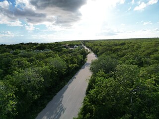 Lush greenery surrounding the the Bluff, Cayman Brac sister island of Grand Cayman, Cayman Islands