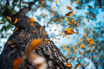 Leaves swirling down from a tree, symbolizing the seasonal change and the continuous cycle of life