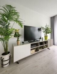 Contemporary Home Entertainment Space. A modern living room design featuring a TV, sleek entertainment unit, and decorative plants for a relaxing ambiance.