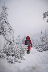 Turystka z plecakiem na szlaku w górach. Ubrana w czerwona kurtke zimowa z kapturem oraz ciemne zielone spodnie. Mglisty, mrozny, dzien, w tle drzewa pokryte puchowym sniegiem.