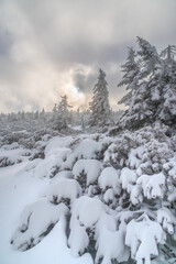 Szlak na Szrenice podczas zimowej wedrowki, Szklarska Poreba. Zimowa atmosfera, oszronione skaly,...