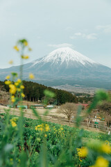 Fototapeta premium mountain in autumn