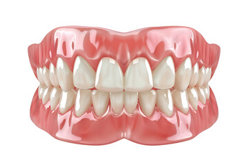 Obraz premium Denture model, artificial jaw with white teeth, isolated on transparent background. Replica of patient oral anatomy. Dental replacement. Prosthesis, chewing denture realistic closeup