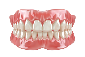Denture model, artificial jaw with white teeth, isolated on transparent background. Replica of patient oral anatomy. Dental replacement. Prosthesis, chewing denture realistic closeup