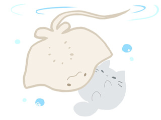 エイと泳ぐねこ