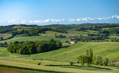 Fototapeta premium Countryside landscape in the Gers department in southwestern France with the Pyrenees mountains in the background