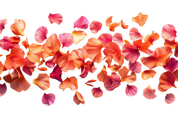 Red and pink rose petals are scattered across a black background.