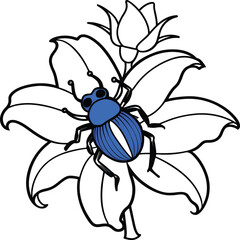 The beetle bug is an insect. A black and white coloring book. coloring pages for children. Insect coloring pages