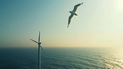 Obraz premium Shared Skies: A Seabird Soars Beside an Offshore Wind Turbine (Symbol of Coexistence)