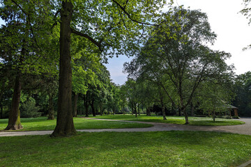 View through the trees in Jungbornpark in the city of Moers in spring with flowers sprouting on the meadows