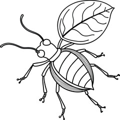 The beetle bug is an insect. A black and white coloring book. coloring pages for children. Insect coloring pages