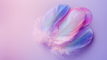 Obraz premium soft feathers in pastel colors on light purple background