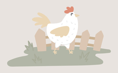 Chicken grazing at grass by fence in flat design. Poultry ranch farming. Vector illustration isolated.
