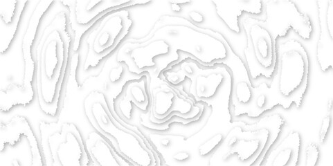 Difference shape of modern realistic 3d effect wavy layers futuristic paper art design, paper cut topography map relief vector abstract white wave layers design layout for background presentation.