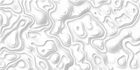 Difference shape of modern realistic 3d effect wavy layers futuristic paper art design, paper cut topography map relief vector abstract white wave layers design layout for background presentation.