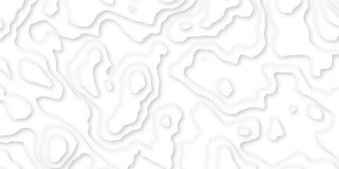 Difference shape of modern realistic 3d effect wavy layers futuristic paper art design, paper cut topography map relief vector abstract white wave layers design layout for background presentation.