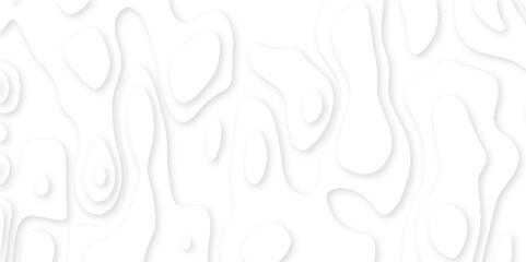 Luxury papercut white background, abstract realistic papercut decoration textured with wavy layers white wave decoration ornament, geometric 3d topographic canyon texture with curved layers and shadow