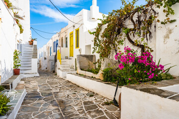 Small narrow street with traditional Greek style houses decorated with flowers in Kastro village,...