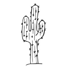 Cactus vector illustrations. Hand drawn outline cactus sketch Cactus plants nature elements