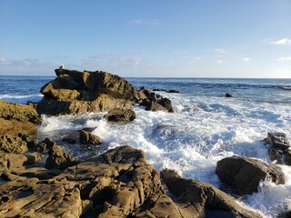 One seagull on the rock while waves crashing on the rocks at Laguna Beach Southern California 