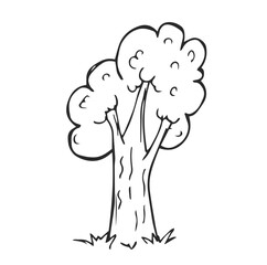 Sketchy tree sketch isolated, vector illustration hand drawn