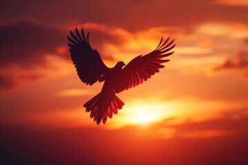 Obraz premium Sunrise Flight of the Phoenix